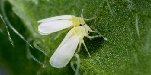 436106006_825214809637515_1804023788052894401_n