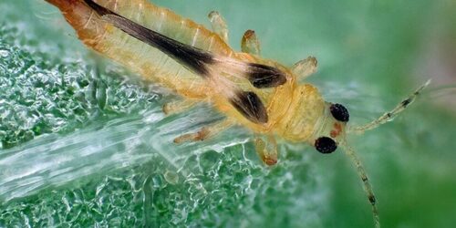 440064224_819501996875463_5475058940312275084_n