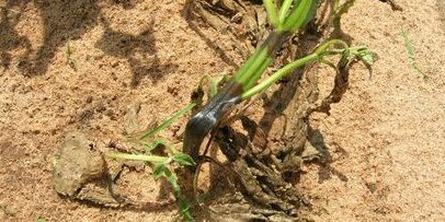 441057698_816419037183759_4802339210123949451_n