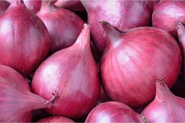 Onion