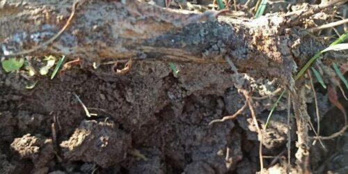 445557751_785245653750519_4435356186747640075_n