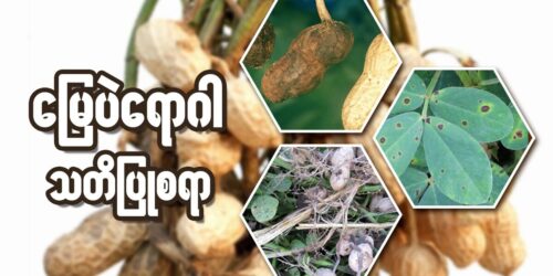 250711824_4549153711811734_5690014883252228281_n