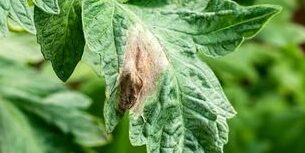 453404166_820191000255984_205214464948746942_n