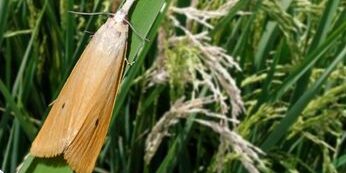 454041363_875255424633453_211287304126321721_n