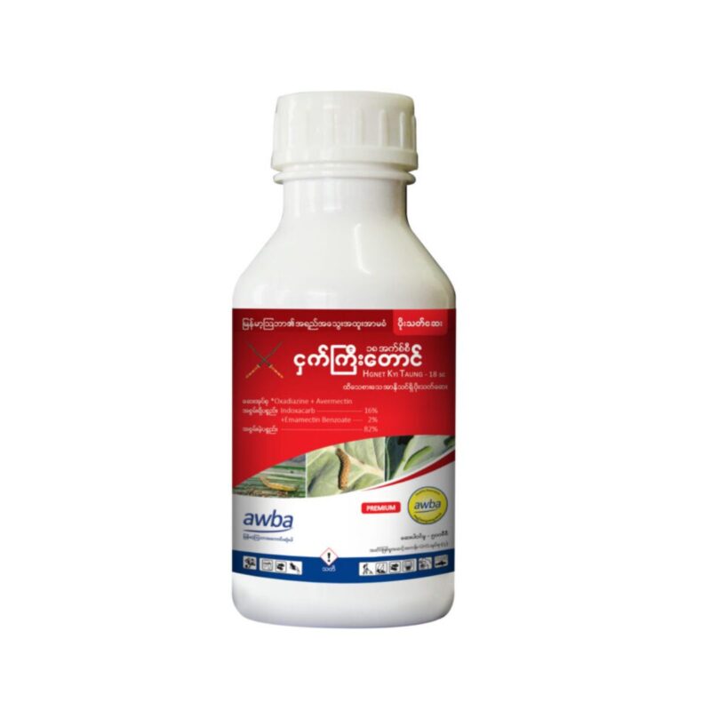 ငှက်ကြီးတောင်