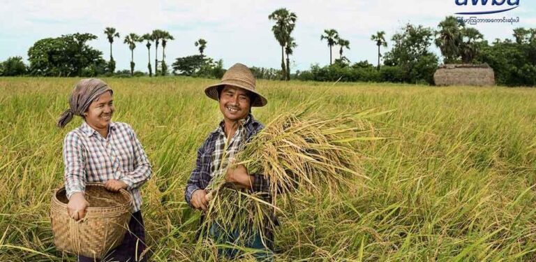 လပွတ္တာမှ စပါးစိုက်တောင်သူများ ဝင်ငွေတိုးတက်စေရေး NGO နှင့် ပုဂ္ဂလိကကဏ္ဍတို့ပူးပေါင်း