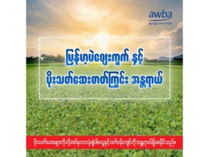 မြန်မာ့ပဲဈေးကွက်နှင့် ပိုးသတ်ဆေးဓာတ်ကြွင်း အန္တရာယ်