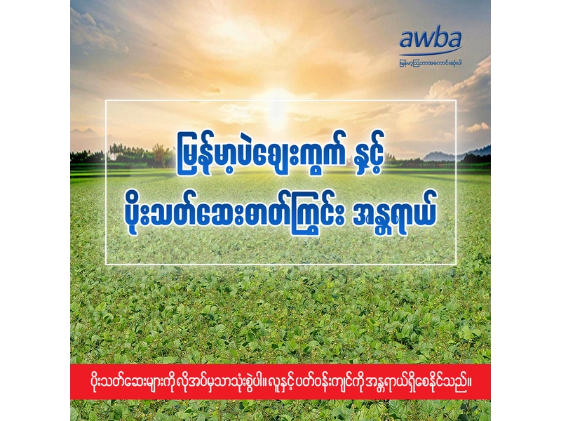 ပိုးသတ်ဆေးဓာတ်ကြွင်း