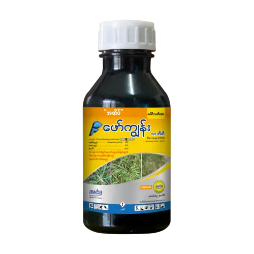 ဖော်ကျွန်း