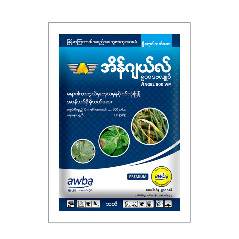 အိန်ဂျယ်လ်