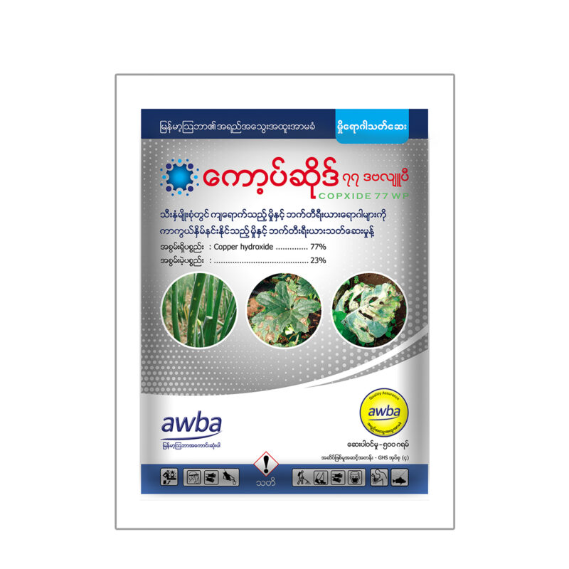 ကော့ပ်ဆိုဒ်