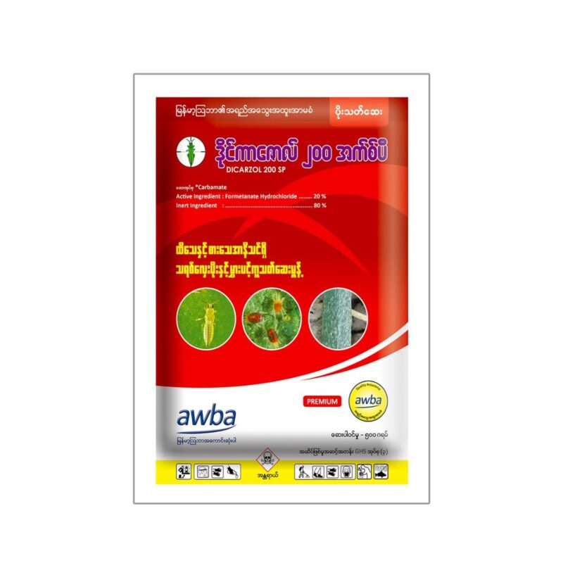 ဒိုင်ကာဇော