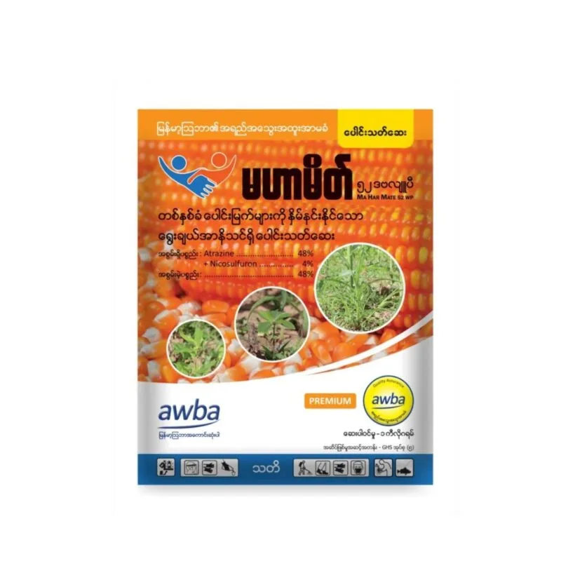 မဟာမိတ်