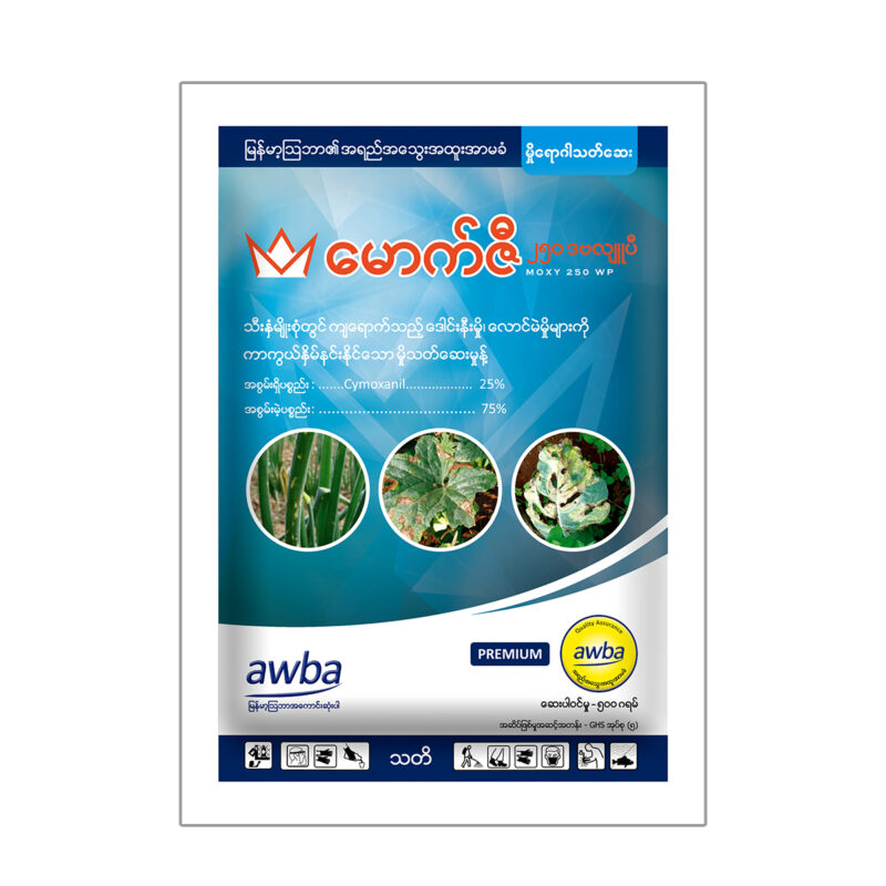 မောက်ဇီ