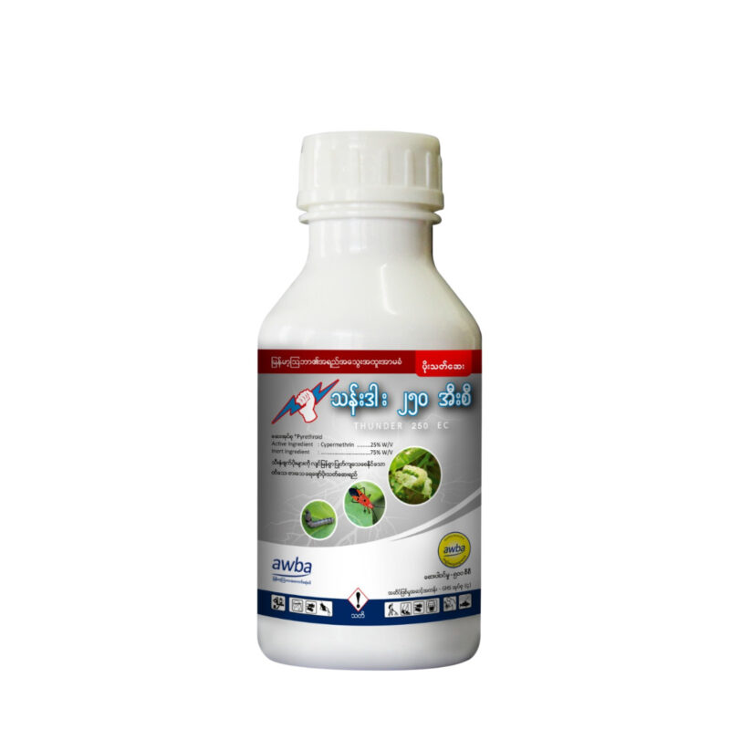 သန်းဒါး