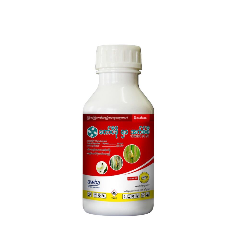 တော်ပီဒို