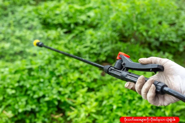 မိုးစပါးတွင် ပေါင်းသတ်ဆေး အသုံးပြုခြင်းဆိုင်ရာ အမေးများသော မေးခွန်းများ (FAQ)