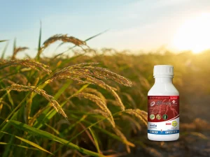 စိုက်ခင်းဖျက်ပိုးများကို အမြစ်ပြတ်နှိမ်နင်းမည့် ဆိုင်ကလုံး (Cyclone)