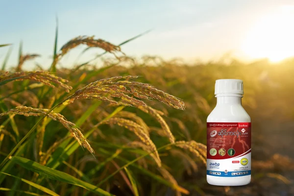 စိုက်ခင်းဖျက်ပိုးများကို အမြစ်ပြတ်နှိမ်နင်းမည့် ဆိုင်ကလုံး (Cyclone)