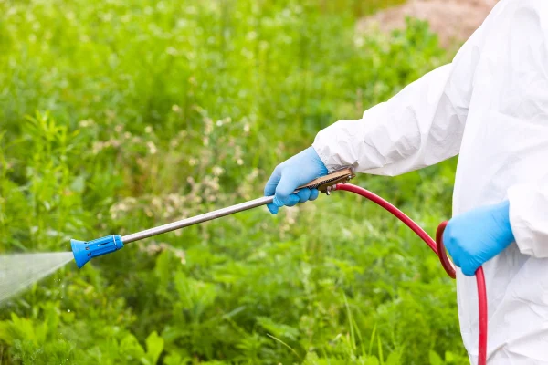 မိုးမကျမီ ခြံရှင်း၊ ယာရှင်းဖို့ ပရိုမာ ပေါင်းသတ်ဆေး အသုံးပြုနည်း (၅) ချက်