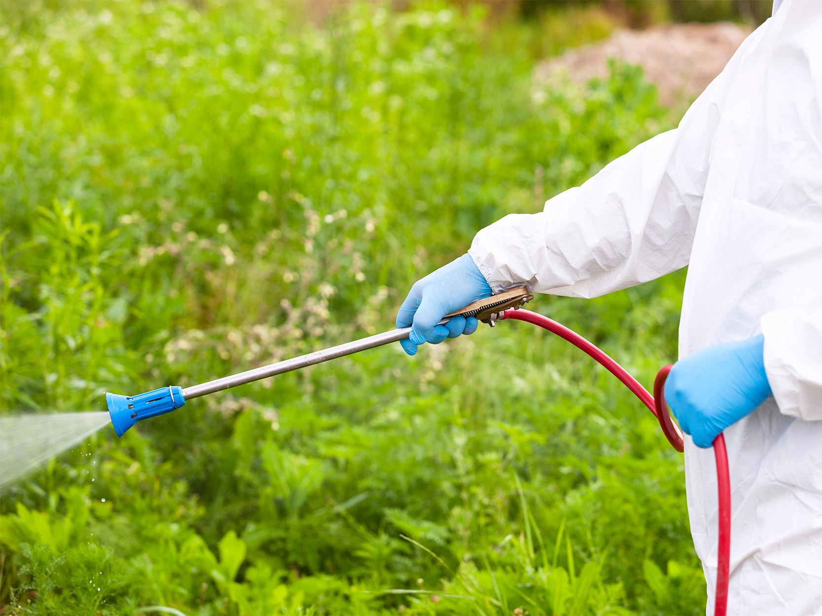 မိုးမကျမီ ခြံရှင်း၊ ယာရှင်းဖို့ ပရိုမာ ပေါင်းသတ်ဆေး အသုံးပြုနည်း (၅) ချက်