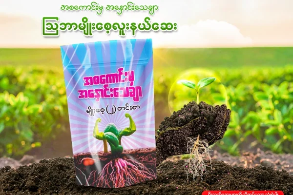 မျိုးစေ့လူးနယ်ဆေး လူးနယ်စိုက်ပျိုးရခြင်း၏ အကျိုးကျေးဇူး (၅) ချက်