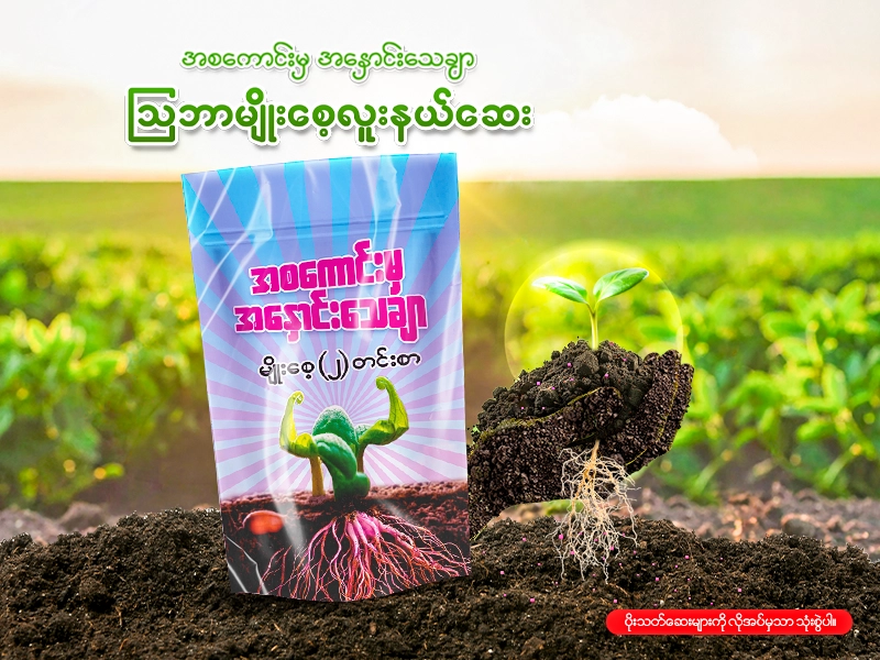 ဩဘာ မျိုးစေ့လူးနယ်ဆေး