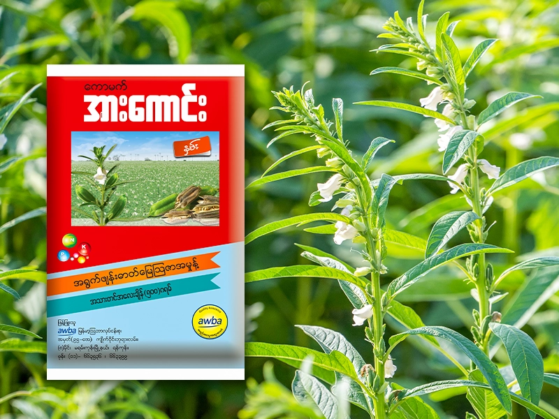 နှမ်းအတွက် ကောမက်အားကောင်း