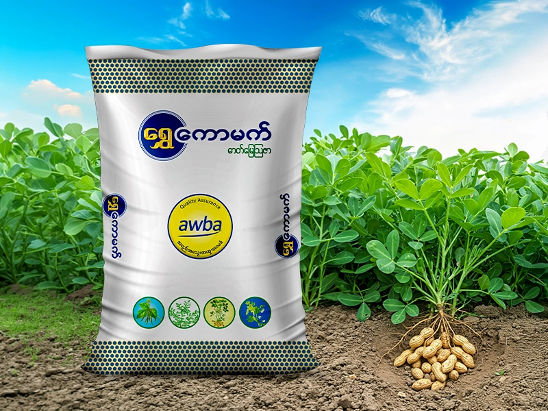 ပဲမျိုးစုံအတွက်သင့်တော်သော ရွှေကောမက်ပဲမျိုးစုံ