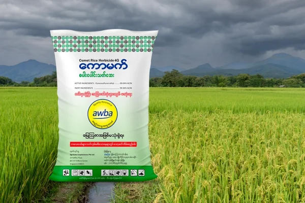 ပေါင်းလည်းသေ စပါးလည်းသန်စေမည့် လျို့ဝှက်ချက် – ကောမက်စပါးပေါင်းသတ်ဆေး