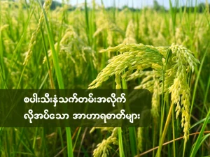 စပါးသီးနှံသက်တမ်းအလိုက် လိုအပ်သော အာဟာရဓာတ်များ