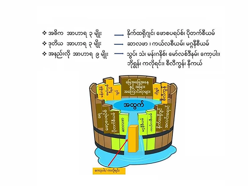 Law of Minimum ( အနည်းဆုံးဟာ အလိုအပ်ဆုံး)